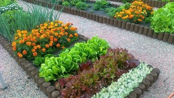 Фото с pinterest.com