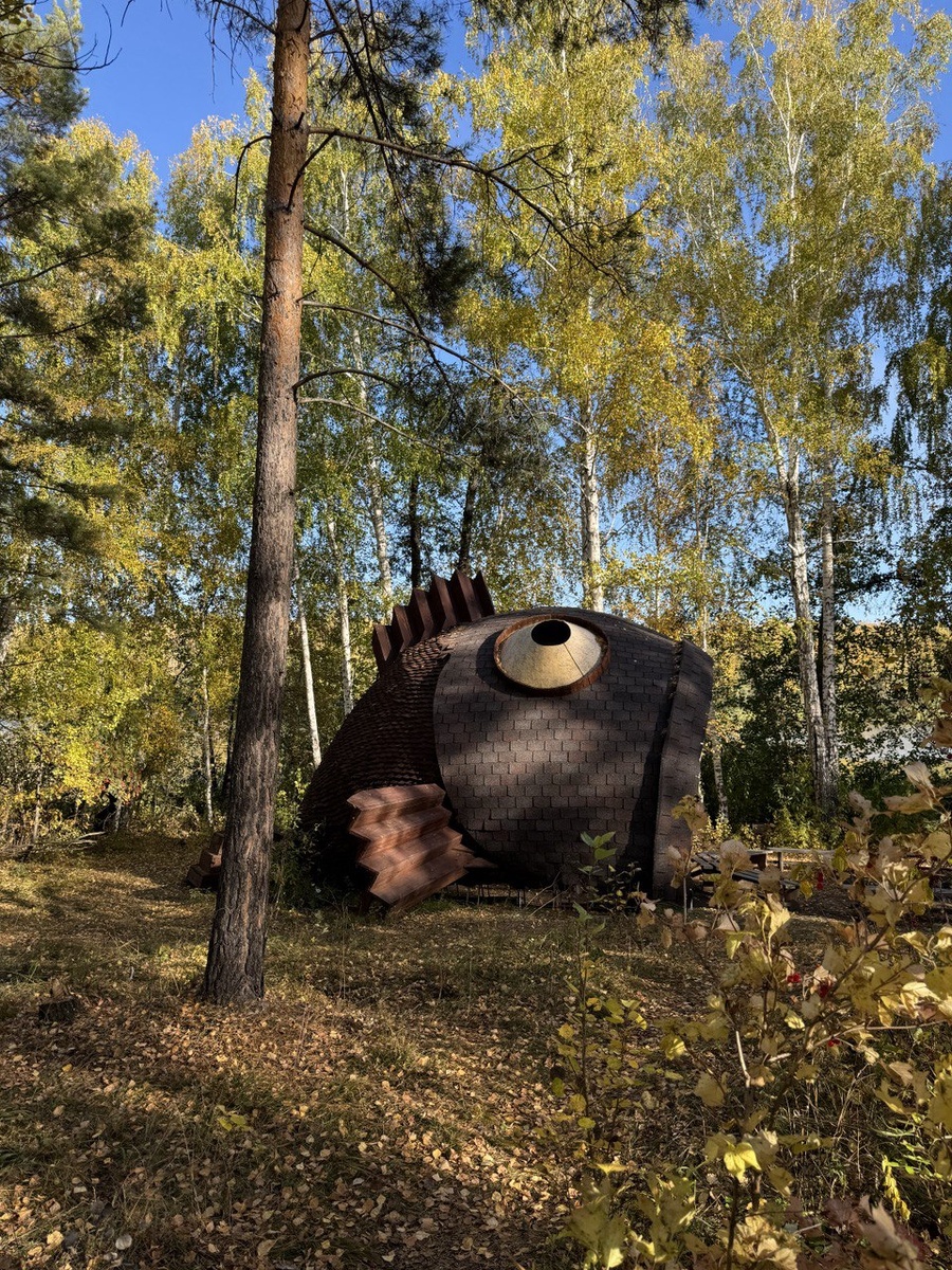 Красивая беседка, где можно посидеть перекусить и спрятаться от плохой погоды