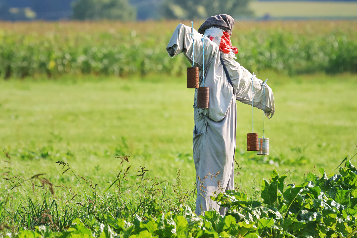     Как сделать пугало на огороде: пошаговый мастер-класс