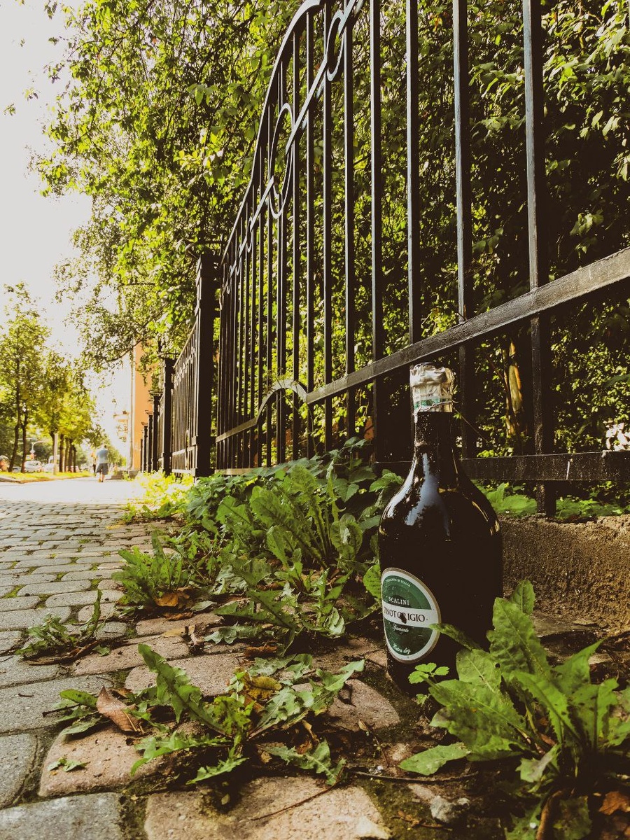 Великий Новгород. Большая Московская улица.