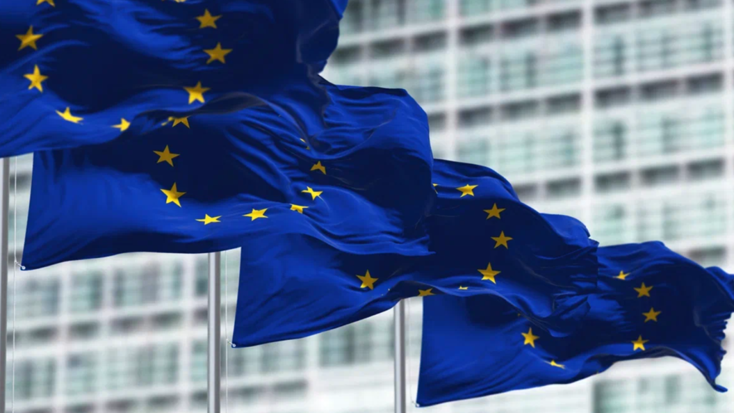    Фото: rarrarorro/shutterstock