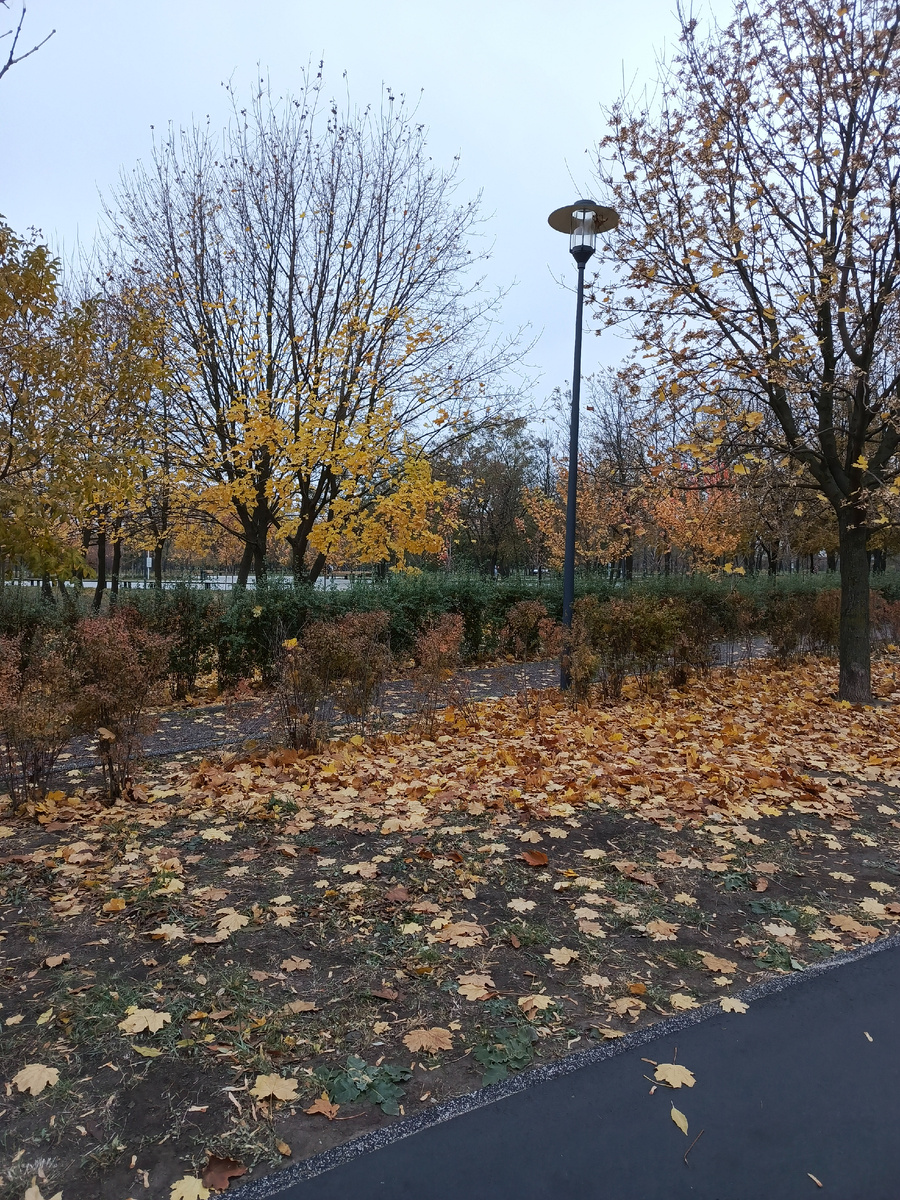 Осенний парк