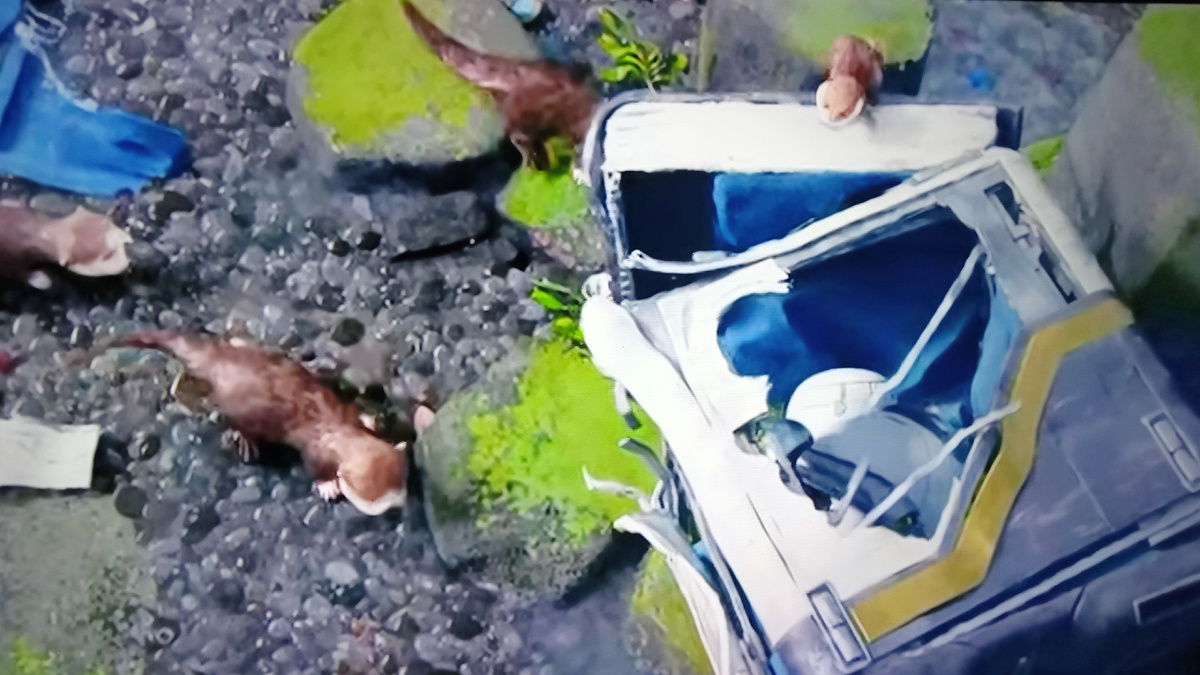 Коробку с роботом выбросило на берег после крушения