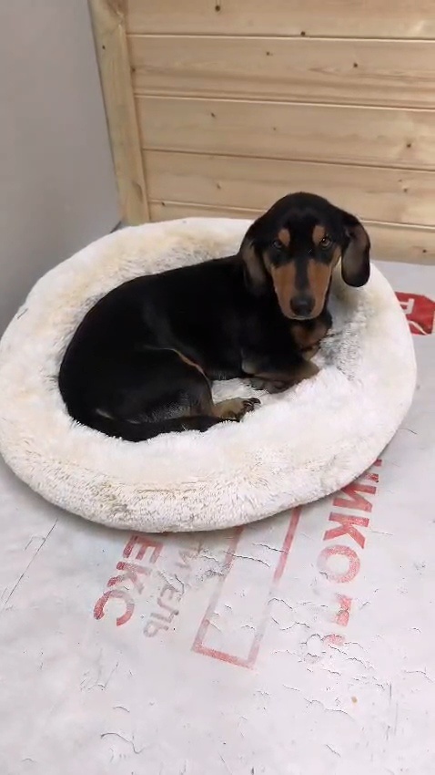 Темочка, в тот день. 