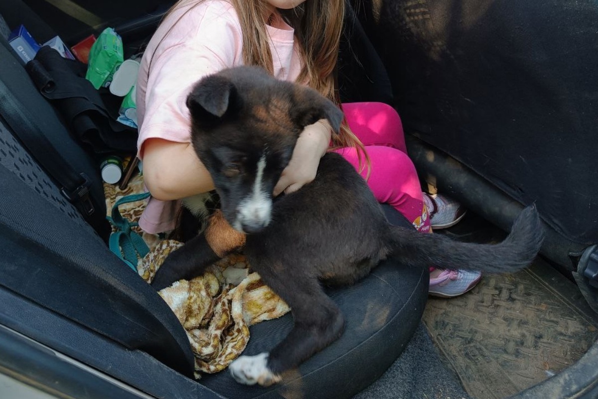 Кроха отправилась домой