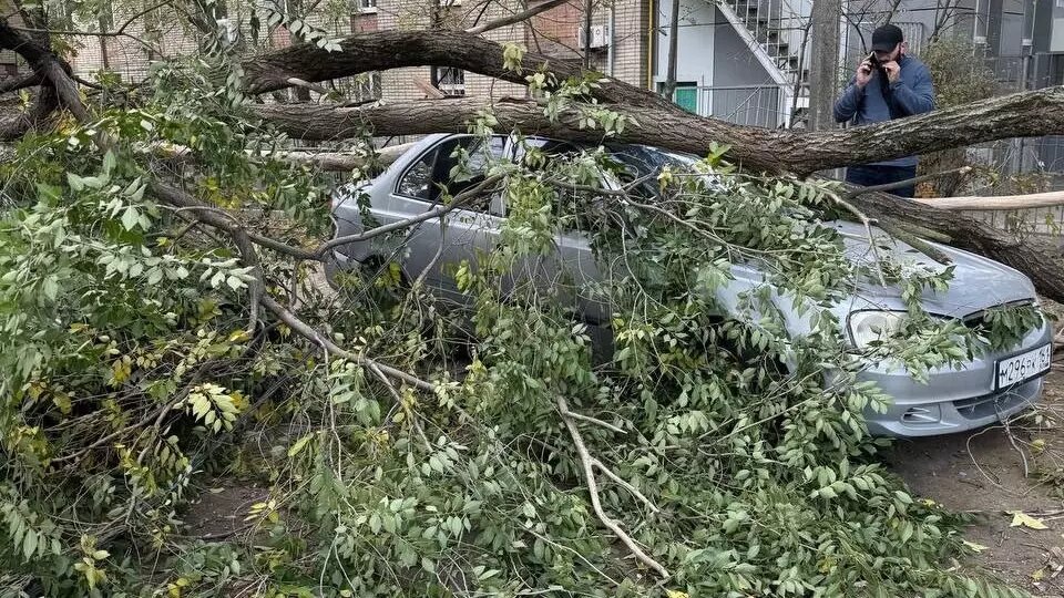     Автор: тг Ростов сити Источник: https://t.me/rostovcitynews/36565