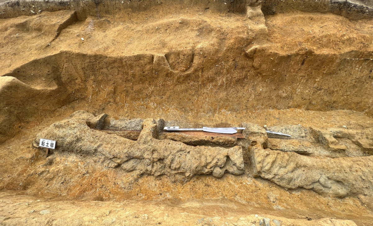 Японская находка. (Фото: img-s-msn-com.akamaized.net).