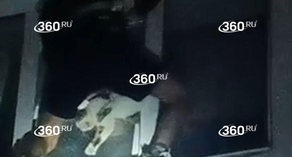    Телеканал «360»