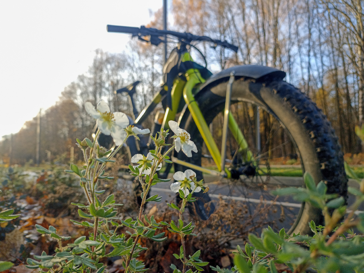 Мой велосипед