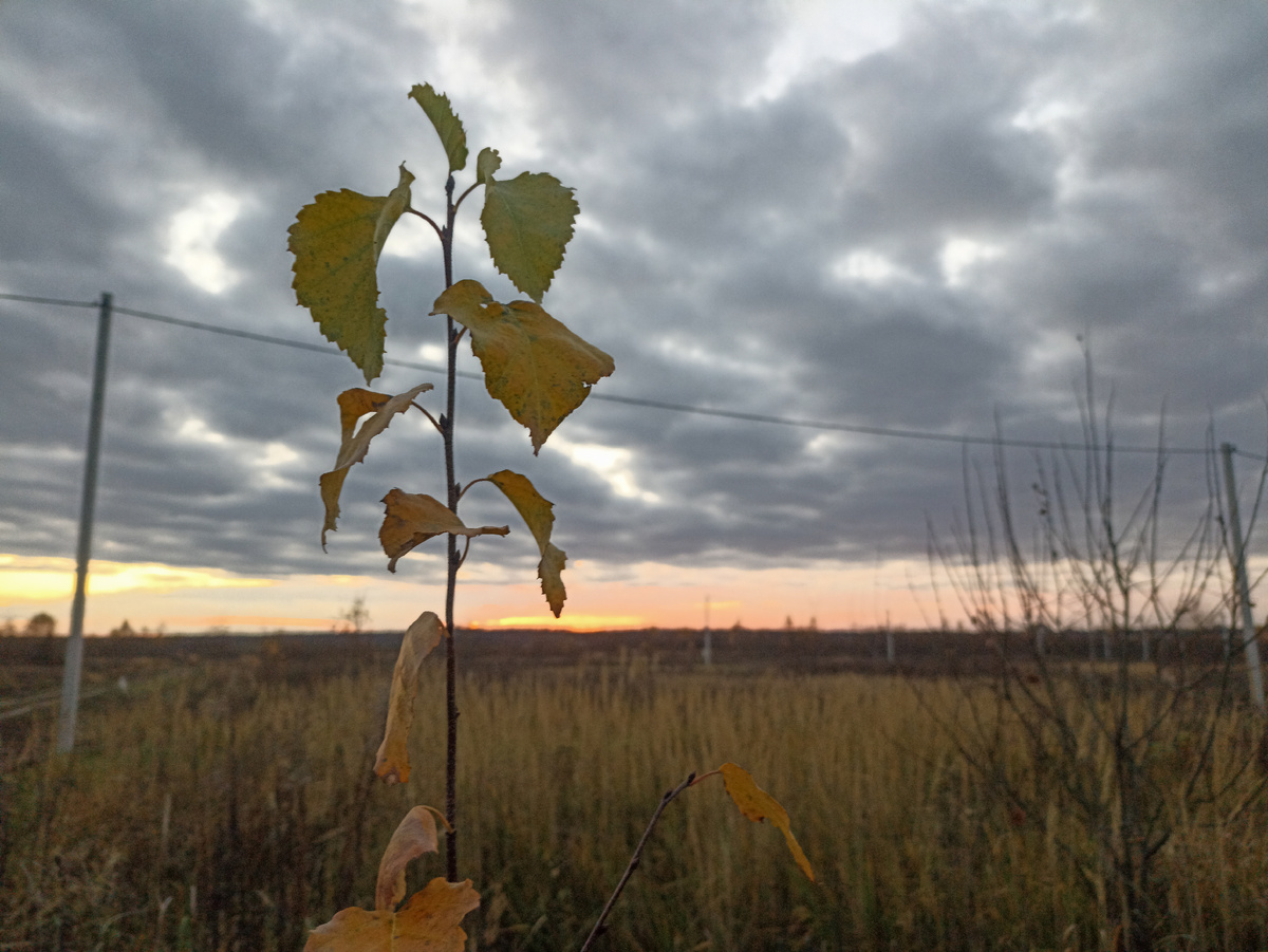 Осенний закат. Листайте галерею