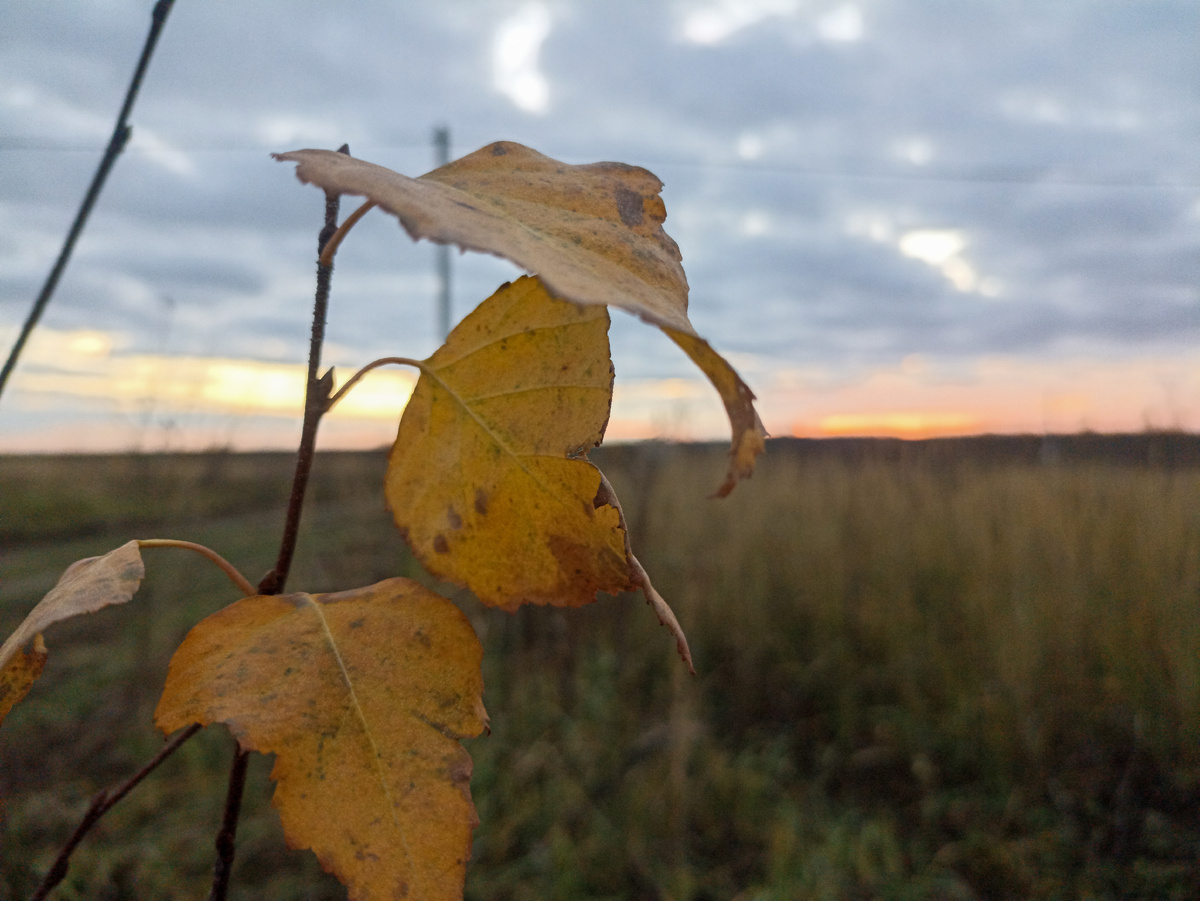 Осенний закат