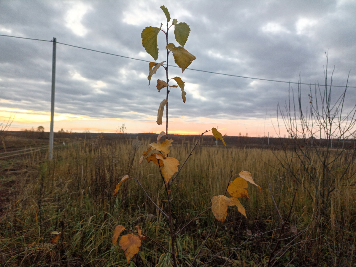 Осенний закат
