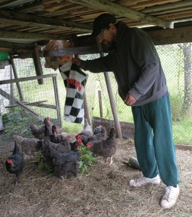 Записки хозяйки Дома для людей, оказавшихся в сложной жизненной ситуации, - «Ремесло добра» // Фото автора