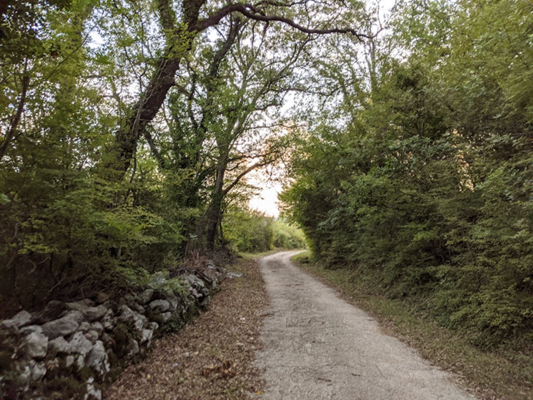 Дорога наверх