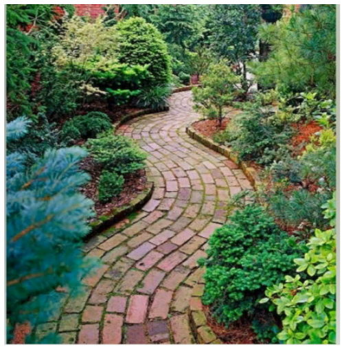 Яндекс.Картинки