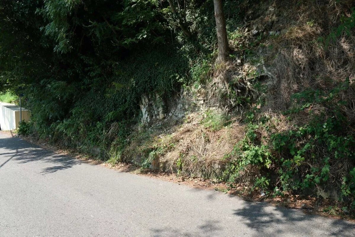 Вот на этом месте в Туапсе Дмитрий Кочергин обнаружил аномалию, которой суждено стать знаменитой. 
Фото: Михаил Ступин