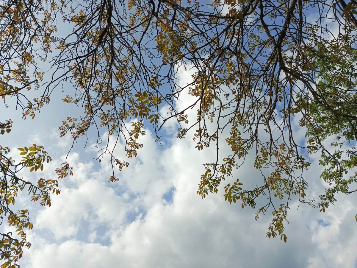 Вы знаете, людей, умеющих слышать музыку ветра или воспринимать окружающий мир, как живой организм, больше принимают за не вполне нормальных