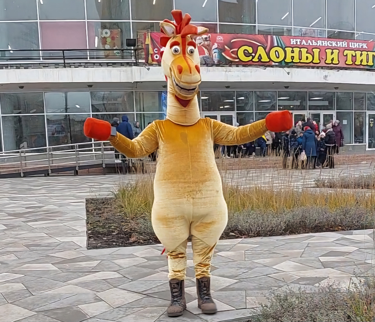 Конь Юлий был явно ошеломлён тем, что мы не стали с ним фотографироваться.
