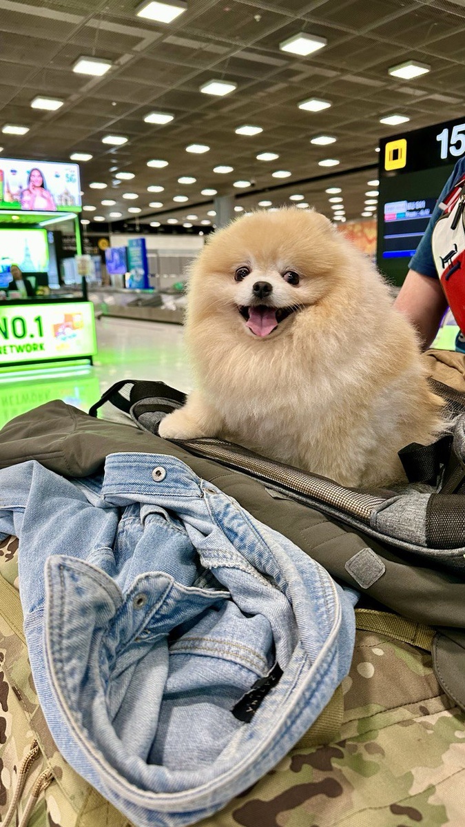 Пончик в аэропорту Бангкока