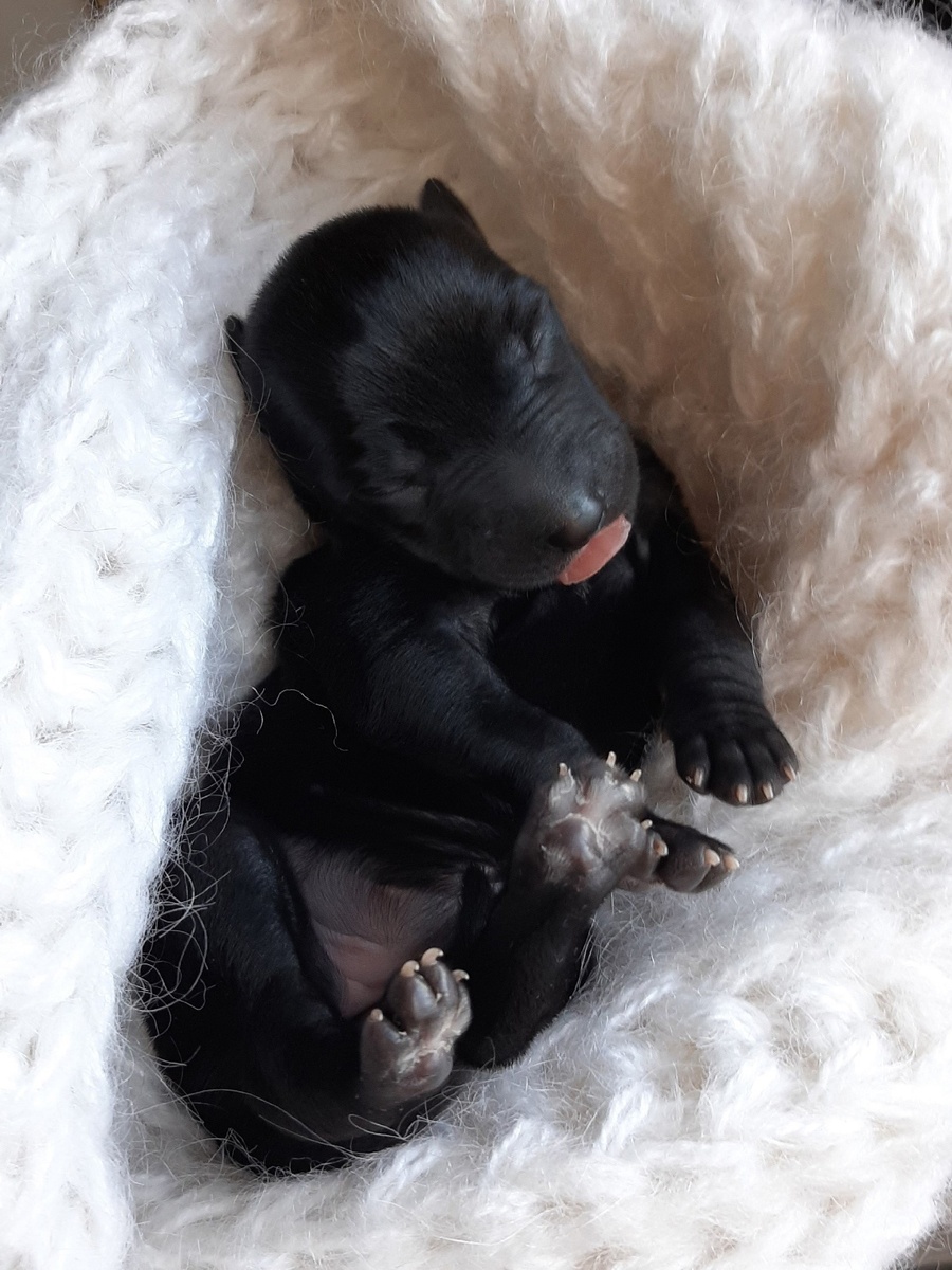 наша малышка