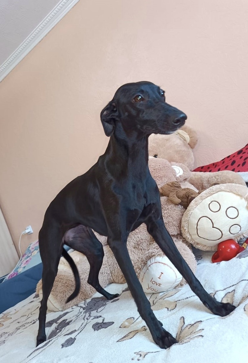 нашей Тере год))