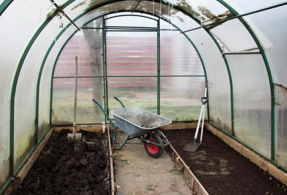 Источник фото: izh.kp.ru