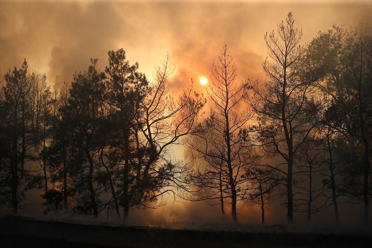 © Фото: ИД «Волгоградская правда» / Кирилл Брага / архив.