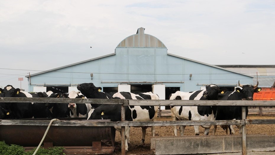    Автор фото: Антон Ваганов