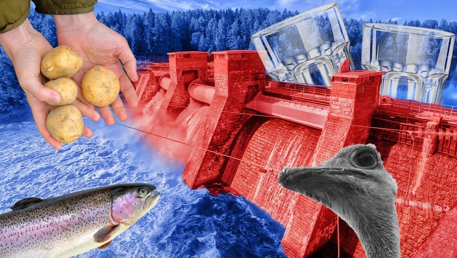    Автор фото: "ДП"