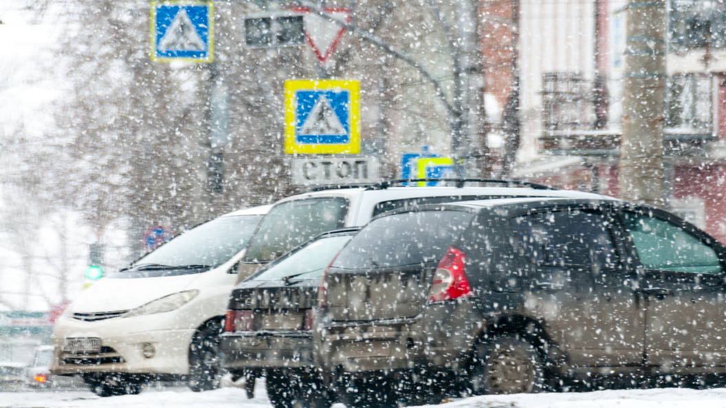    Фото: Svetlana Vozmilova/Global Look Press