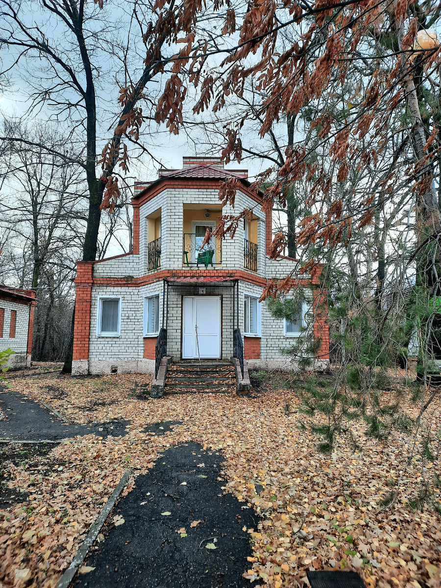 Вот сколько листьев намело к домам!