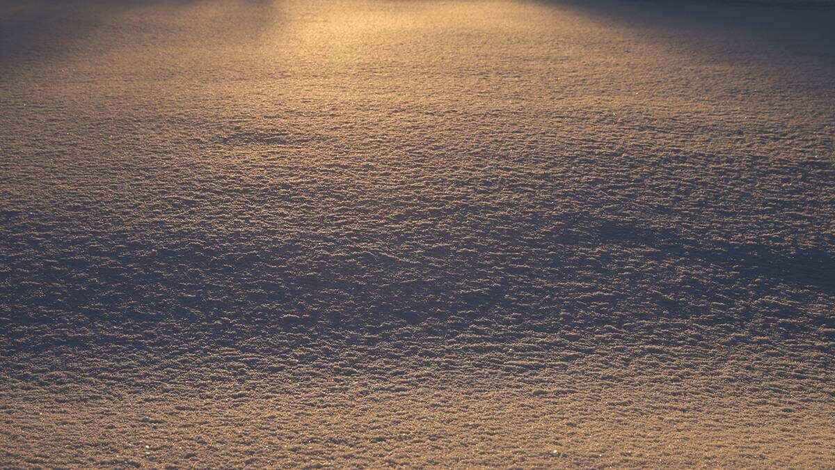    Фото: Анатолий Цымбалюк / Вечерняя Москва