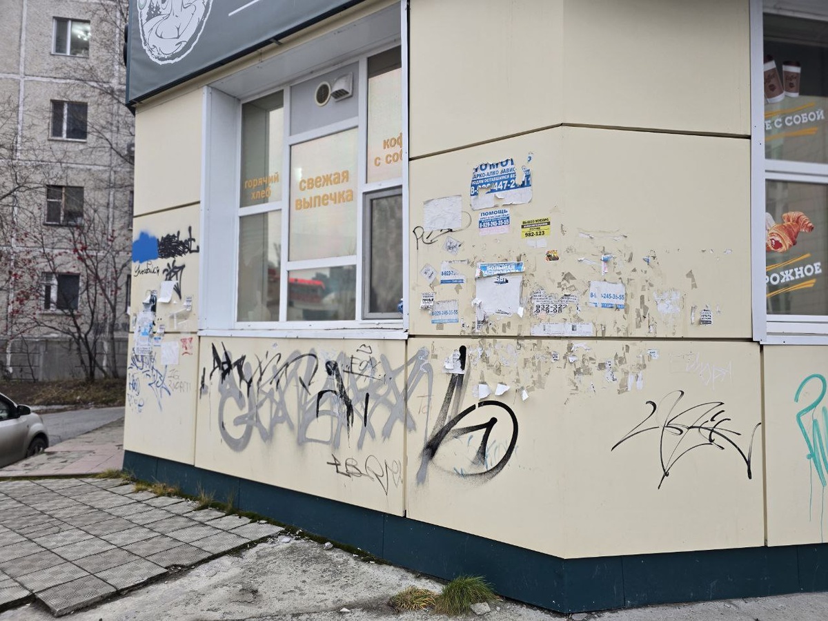    В Сургуте фиксируют факты вандализма с помощью системы «Дозор»