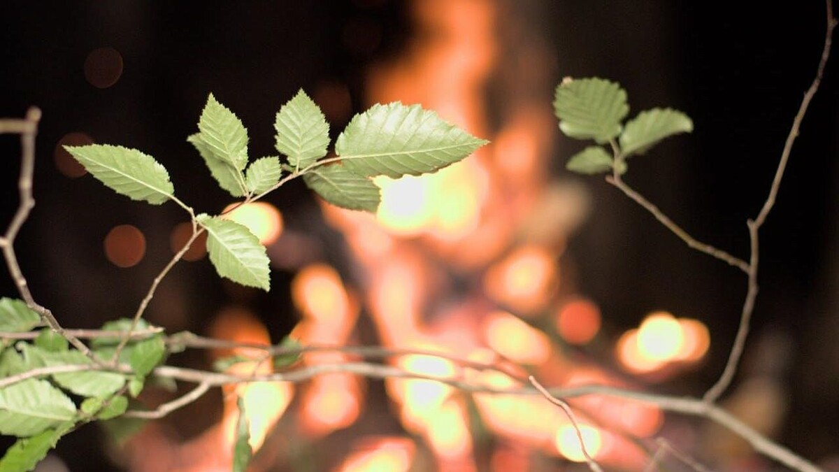    Фото: архив телеканала «Краснодар»