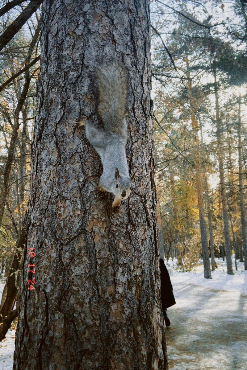 В парке имени Гагарина