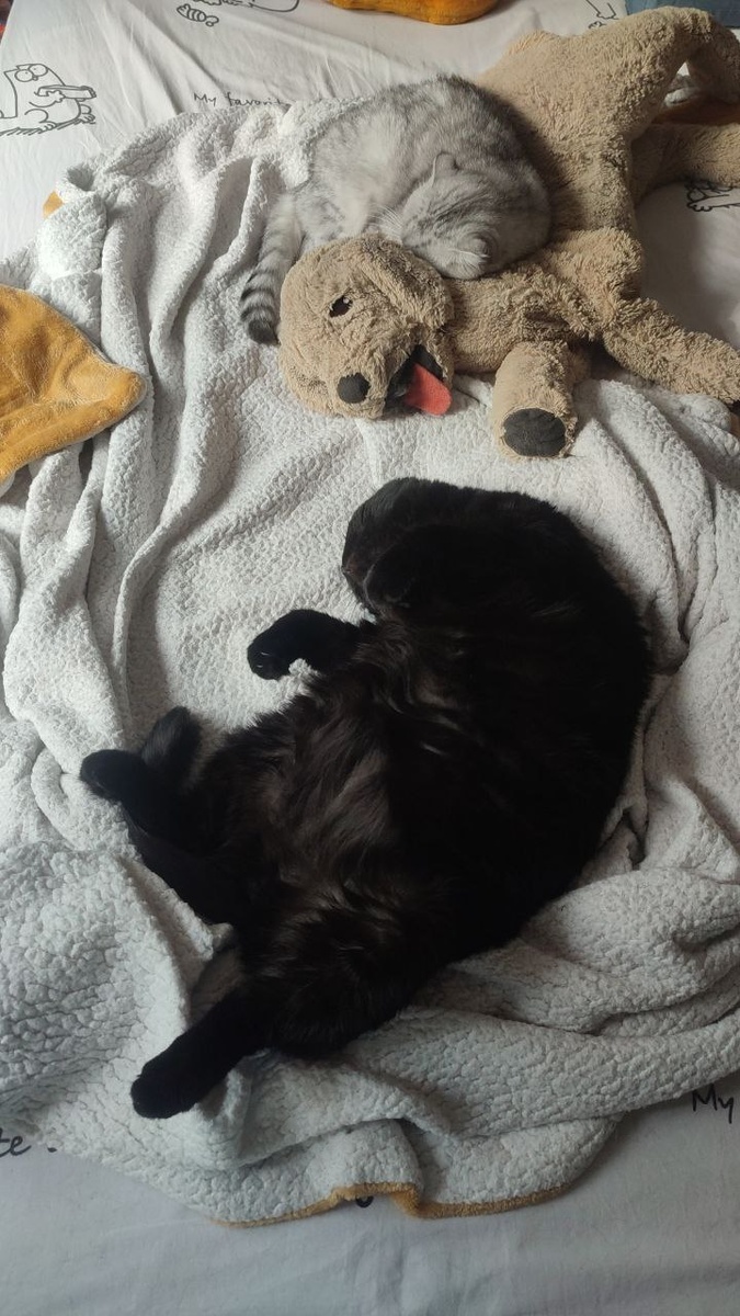 кстати, характер проявляется именно тогда, когда доверяешь тем, кто рядом - веришь, что они тебя примут такими