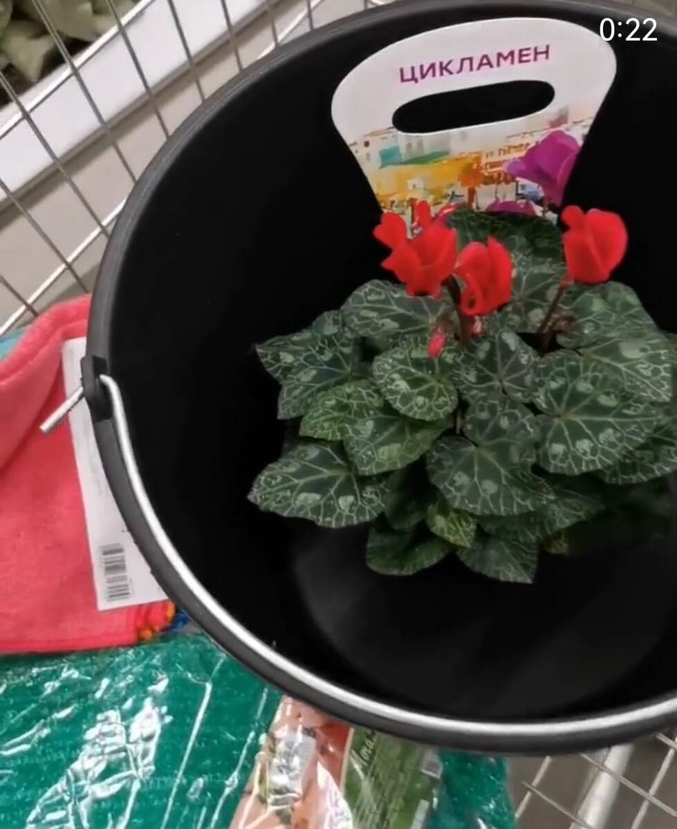 Первая покупка в новой квартире