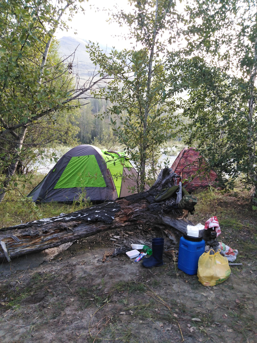 Наше козырное место было занято, вокруг было солнце, но мы умудрились найти тенек. Хотя бы так.