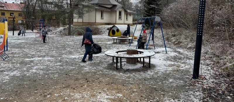    Участники субботника в Лахденпохье убрали листья из-под снега по инициативе властейЛахденпохский район