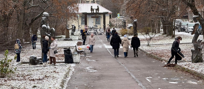    Участники субботника в Лахденпохье убрали листья из-под снега по инициативе властейЛахденпохский район