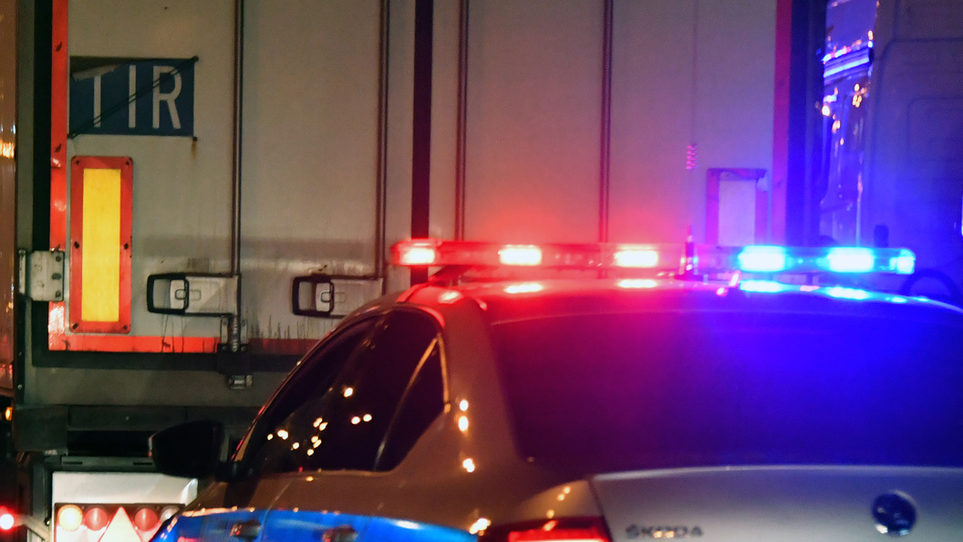    Vladimir Baranov/Globallook Press