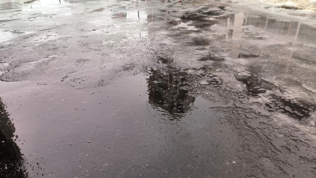    Фото: Maksim Konstantinov/Global Look Press