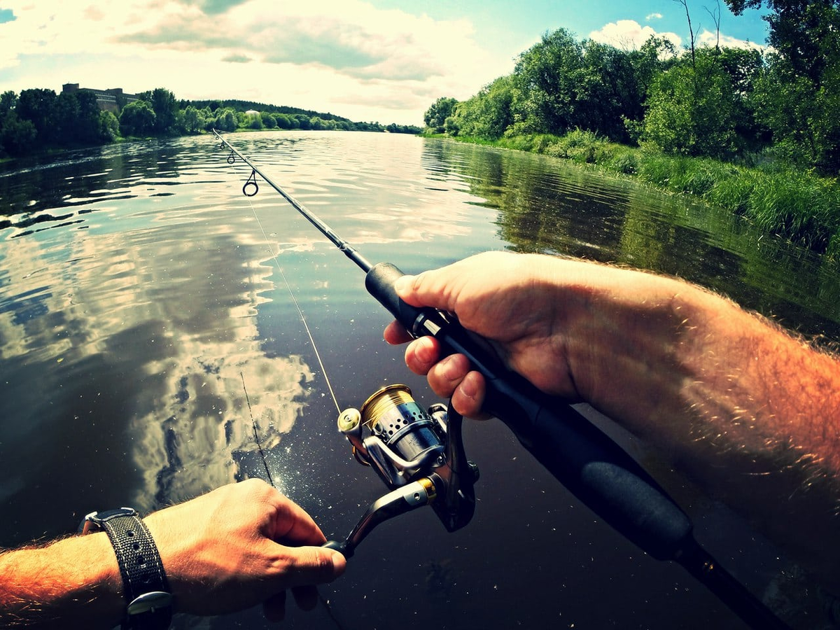 Фото с сайта: https://bashtest.ru/wp-content/uploads/2020/08/rybalka.jpg