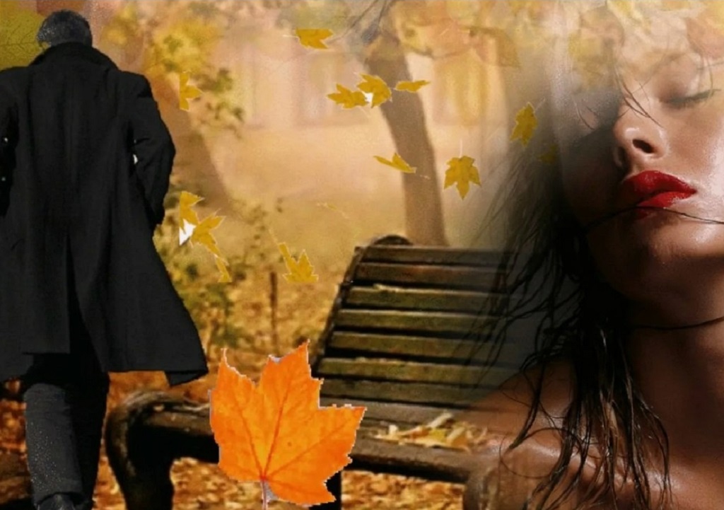 Изображение из свободного Интернета