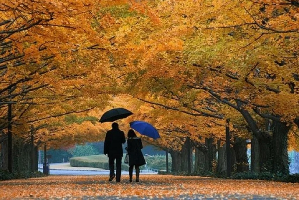 Фото из свободного Интернета