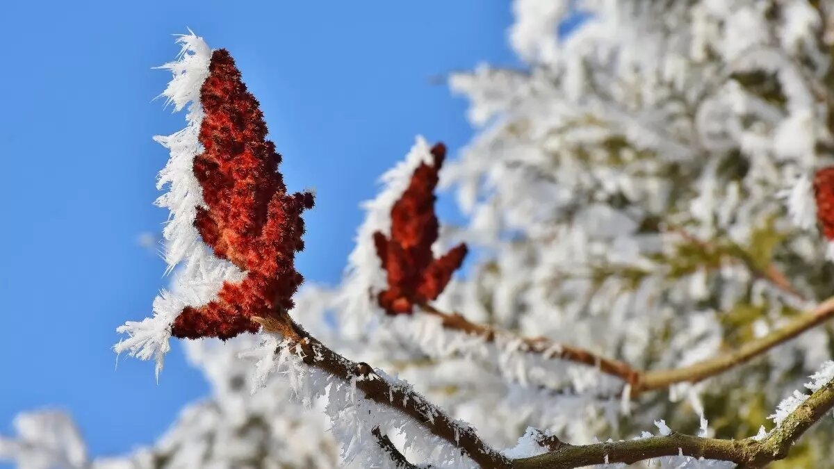     Источник: pxhere.com