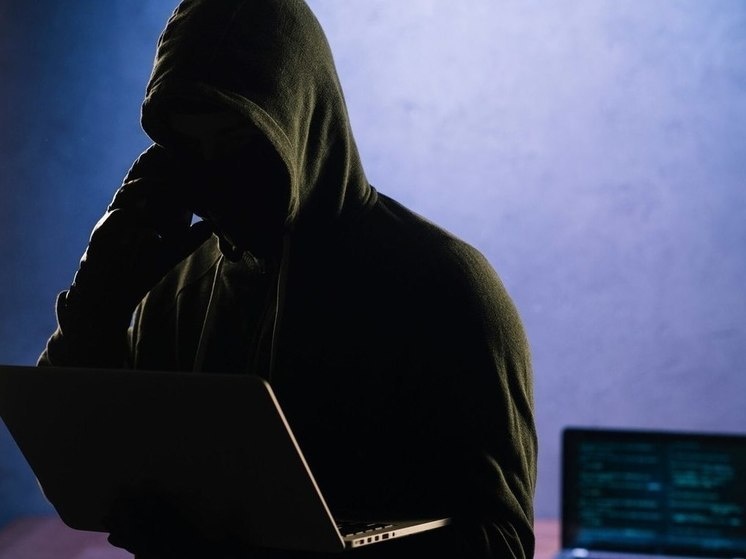 Фото: freepik.com