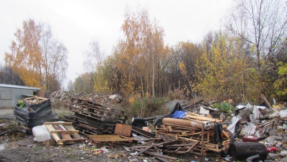    Автор фото: Комитет по природопользованию