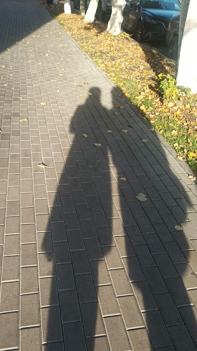 Фото автора. Тень моя и старшей сестры в солнечный день. 