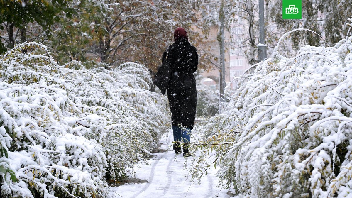    Фото: РИА Новости © 2024, Алексей Никольский